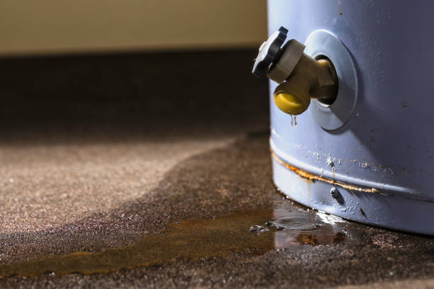 Best Ceiling water damage repair  in Yorkville, WI