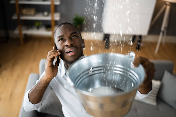 Best Water damage cleanup near me  in Yorkville, WI
