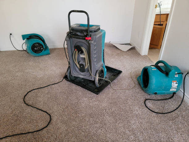 Best 24/7 water damage repair  in Yorkville, WI