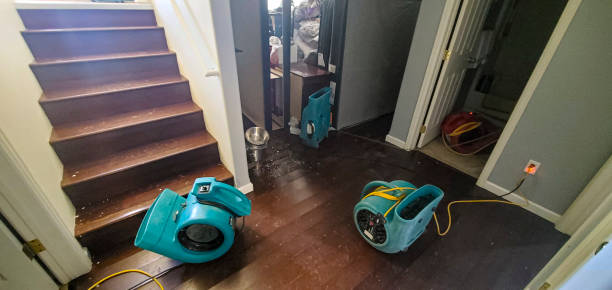 Best Commercial water damage restoration  in Yorkville, WI