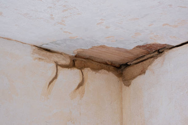 Best Flood damage cleanup  in Yorkville, WI