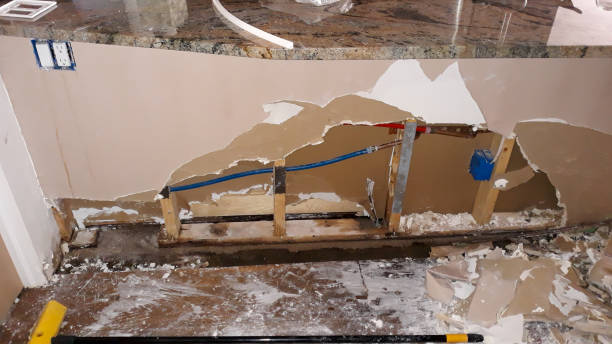 Best Mold removal after water damage  in Yorkville, WI
