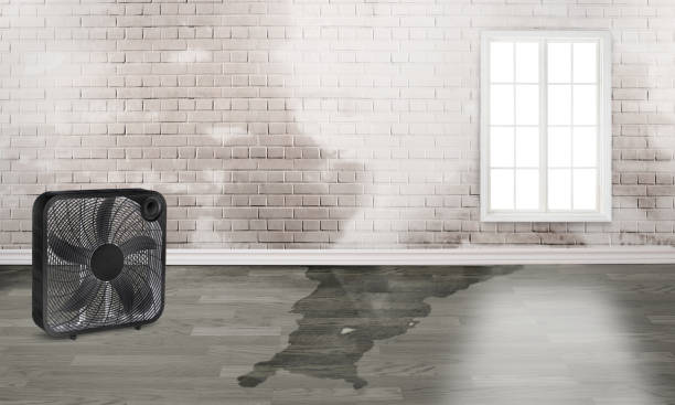 Best Water damage restoration experts  in Yorkville, WI