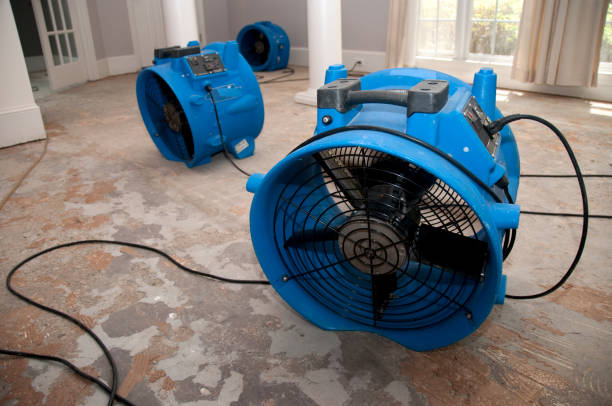 Best Local water damage restoration  in Yorkville, WI