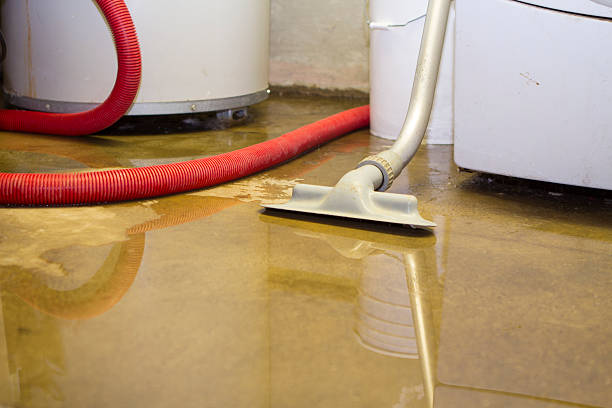 Best Sewage cleanup and water damage restoration  in Yorkville, WI